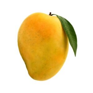 4 Season Longon Plant